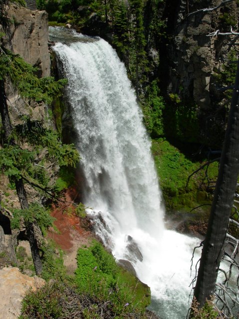 Summer '06 Sunriver 256 